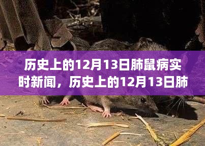 歷史上的肺鼠疫疫情回顧，12月13日實(shí)時(shí)新聞追蹤